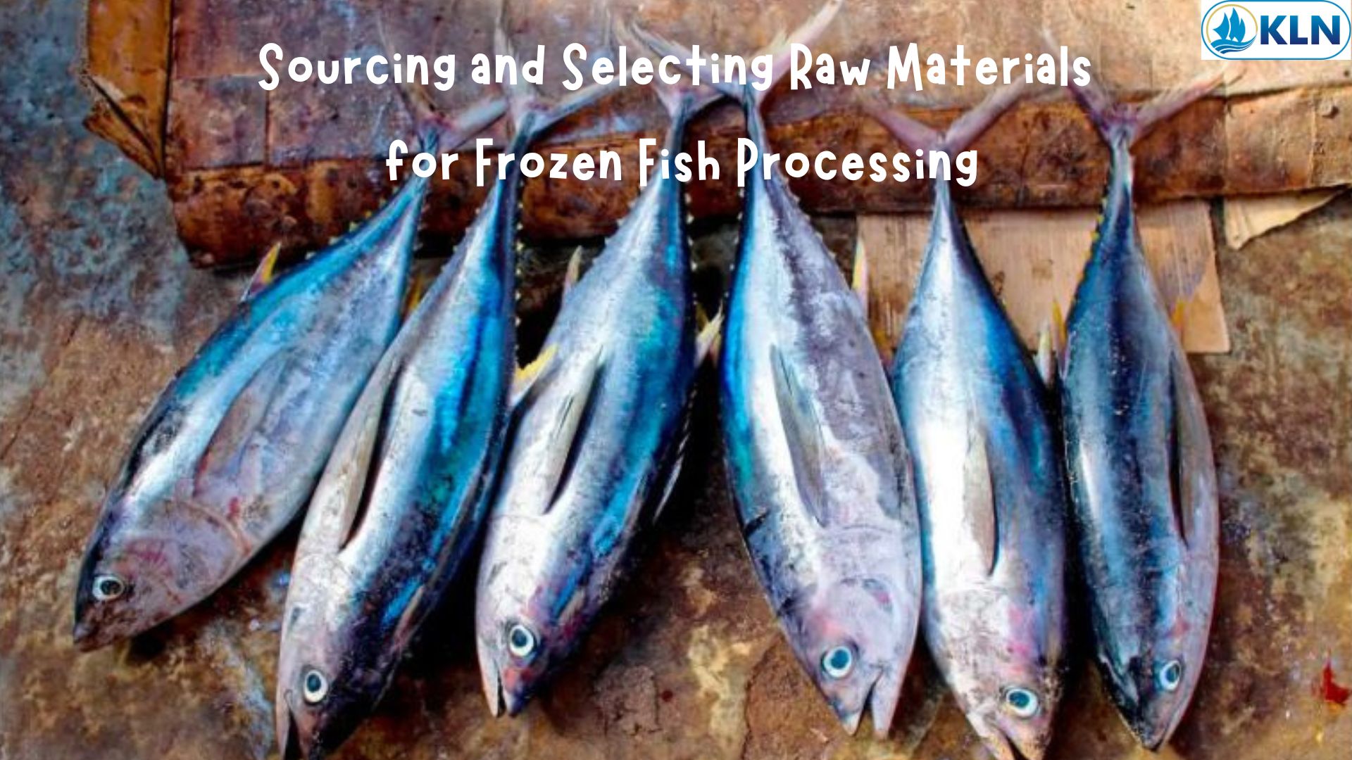 Sourcing and Selecting Raw Materials for Frozen Fish Processing